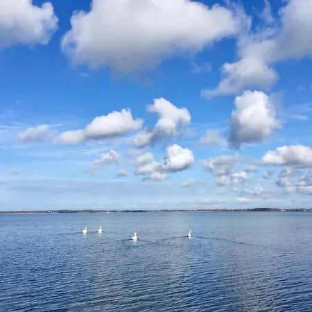 Breeger Boddenhuus Vakantiehuis *