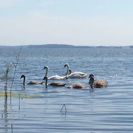 Breeger Boddenhuus Breege